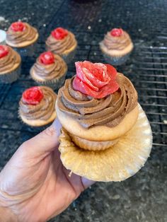 a hand holding up a cupcake with chocolate frosting and a rose on top