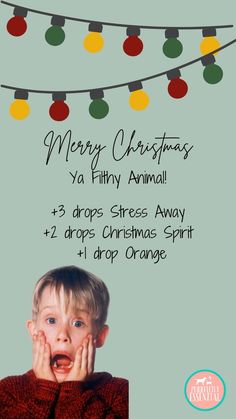 Winter Smells, Young Living Oils Recipes, Essential Oil Remedy, Essential Oils Guide, Essential Oils Cleaning, Movies Of All Time