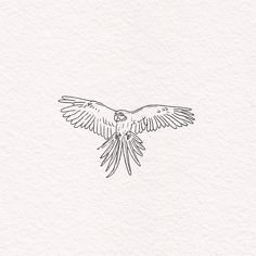 a drawing of a bird flying in the sky