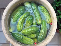 a wooden bowl filled with green cucumbers on top of a tiled floor next to a potted plant