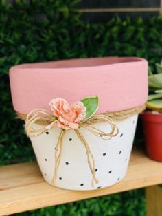 two potted plants are sitting on a shelf