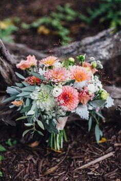 a bouquet of flowers sitting on top of a wooden stump in the woods next to a fallen tree