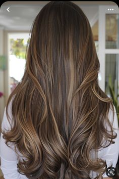 Vanilla Highlights On Dark Hair, Warm Brown Hair With Lowlights, Bra Length Hair With Layers, Hair Colour With Highlights, Heavy Highlights On Dark Hair, Dark Hair Hairstyles, Long Layered Bob Hairstyles, Heavy Highlights, Highlights On Dark Hair