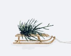 a wooden sled with some plants on it