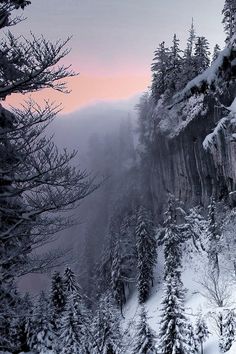 the sun is setting on a snowy mountain with pine trees and snow covered mountains in the background