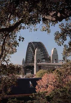 a bridge that is next to some trees in front of it with buildings on the other side