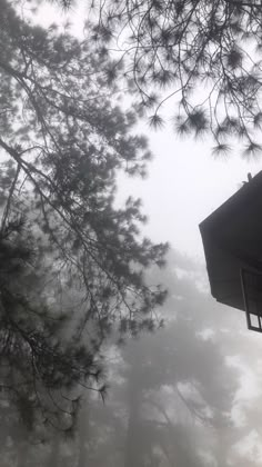 a cabin in the woods on a foggy day with pine trees and birds feeder