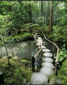 a stone path in the middle of a forest