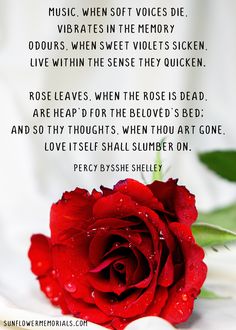 a red rose sitting on top of a white sheet next to a poem about love