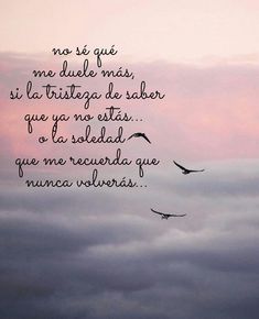 two birds flying in the sky with a pink and purple sunset behind them that reads, no se que me diable nis, la tristega de sabor