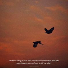 two birds flying in the sky with a quote about work on being in love with those person in the mirror who has been through so much but still standing