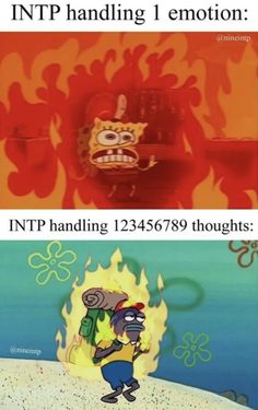 Intp T Meme, Intp Male, Intp X Intj, Intp Core, Intp 5w4, Intp Relationships, Intp Things, Taurus Memes