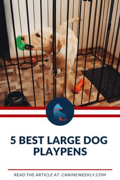 a dog in a cage with the words 5 best large dog playpens