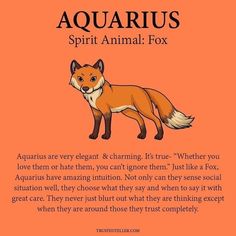 an orange background with the words aquarius spirit animal fox