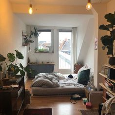 a bedroom with a bed, plants and other things in the room on the floor