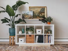 a white bookcase with plants and books on it in front of a large painting