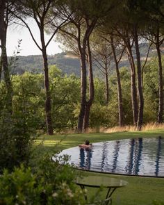 a person swimming in a pool surrounded by trees