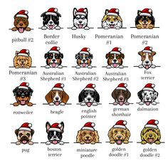 dogs in christmas hats are shown with the names of their respective breeds and breedes