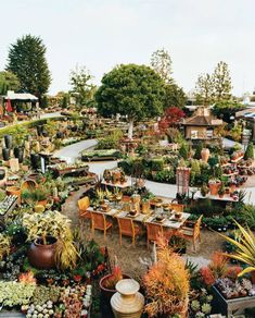 a garden filled with lots of different types of potted plants and flowers on top of each other