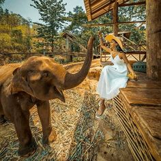 a woman in a white dress and straw hat standing next to an elephant with her trunk up