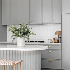 a kitchen with gray cabinets and white counter tops, an island in the middle has a plant on it