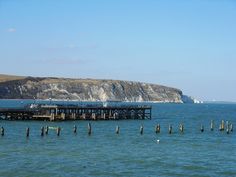 an old pier in the middle of the ocean with birds on it and cliffs in the background