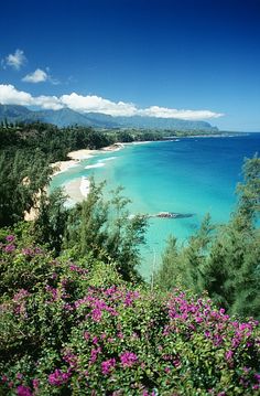 the beach is surrounded by purple flowers and trees