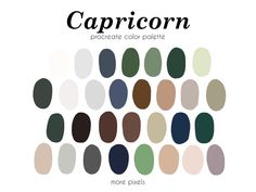 the color scheme for capricorn is shown in black, white, and green