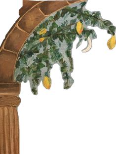 a drawing of an arch with lemons hanging from it's top and bottom