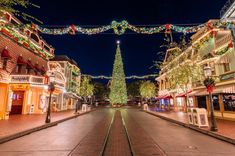 a christmas tree is lit up in the middle of an empty street