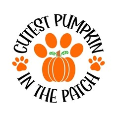 an orange pumpkin with paw prints and the words quietst pumpkin in the patch on it