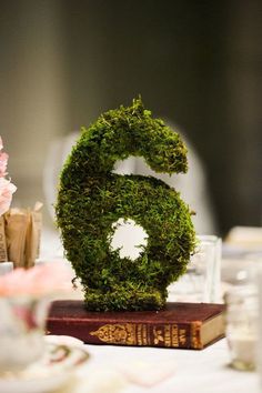 the number six made out of moss on top of a book at a wedding reception