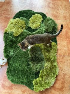 a cat walking across a green rug on the floor