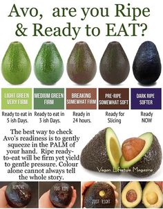 an avocado is shown with the words avo, are you ripe and ready to eat?