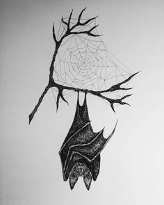 a drawing of a bat hanging upside down on a tree branch with spider web attached to it