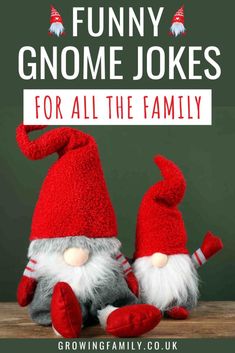 two gnomes with the text funny gnome jokes for all the family