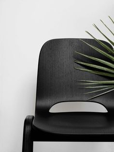 a black chair with a plant on top of it