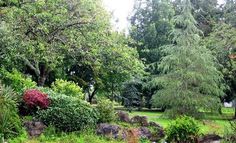 a lush green park with trees and rocks