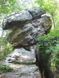 a large rock formation in the middle of a forest