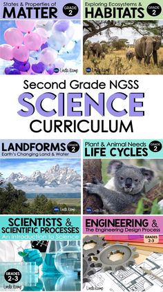 Second grade science units for properties of matter, habitats, ecosystems, plant and animal needs, landforms, life cycles and engineering design. Math Stem Activities, Teaching 2nd Grade, Ngss Science, Teaching Second Grade, Science Projects For Kids