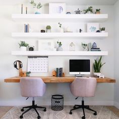 two desks with chairs are in front of a white wall and shelves filled with plants