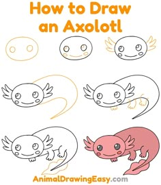 how to draw an axolot