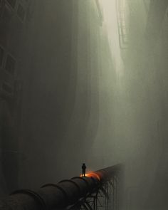 a person standing on top of a bridge in the fog