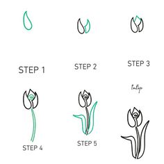 step by step instructions to draw tulips for beginners, including how to draw them