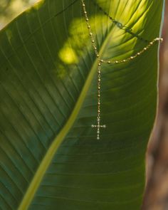 The rosary cross lariat ✨