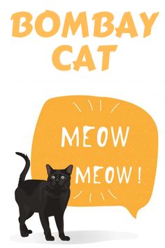 a black cat standing next to an orange speech bubble with the words meow meow