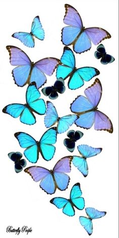 a group of blue butterflies flying in the air