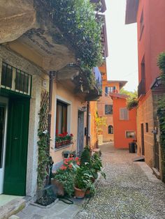 an alley way with potted plants on either side and green doors in the middle