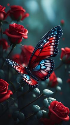 a butterfly sitting on top of red roses