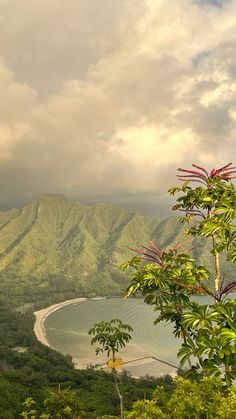 the mountains are covered with trees and water